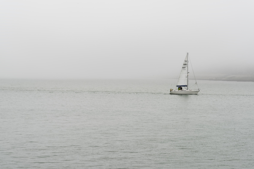 Segler überleben dank Haferflocken